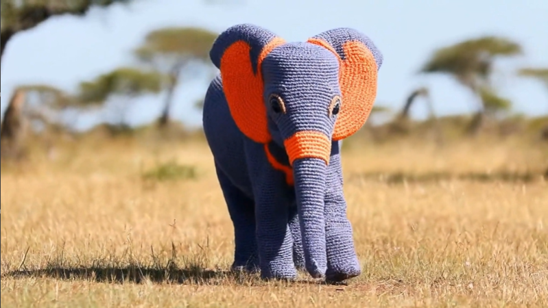 veo elephant vedio